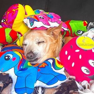 Meet your Posher, Susie